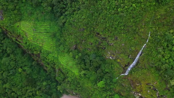Légi drone repül lassítva egy zöld erdő körül egy szikla vízesés az Andok hegységben, Peru. — Stock videók