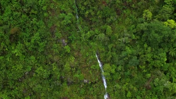 Antenn drönare flyger i slow motion över en grön skog runt en klippa vattenfall i Anderna, Peru. — Stockvideo