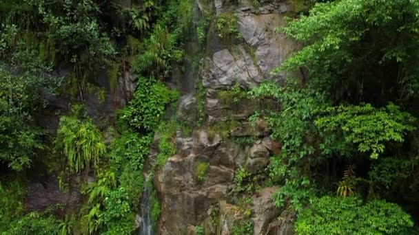 Aerial drone flying in slow motion over a green forest around a cliff waterfall in the Andes mountains, Peru. — Stock Video