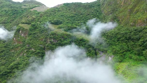 Aereo drone volo attraverso le nuvole nelle montagne verdi foresta delle Ande. Perù, vicino a Machu Picchu. Terrazze Inca sullo sfondo . — Video Stock