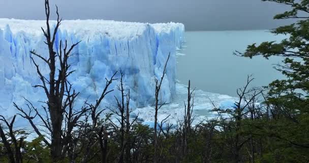 Timelapse wielkiego lodowiec Perito Moreno, Patagonia, Argentyna — Wideo stockowe