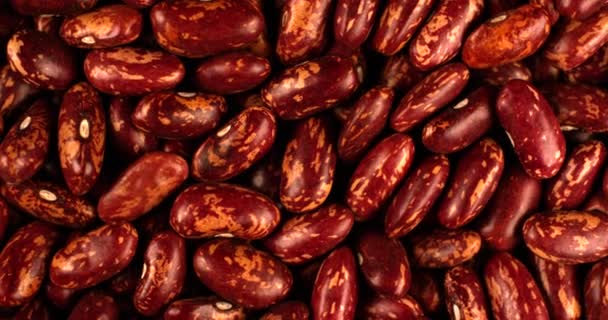 Red beans rotating in slow motion. Extreme close up top view, shot on RED 6K camera — Stock Video