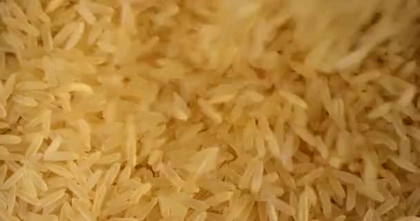 Neloupaná rýže bez leštěného hnědého zrna, která klesá a otáčí pomalým pohybem. Extrémní pohled zblízka, záběr na červený 6k fotoaparát — Stock video