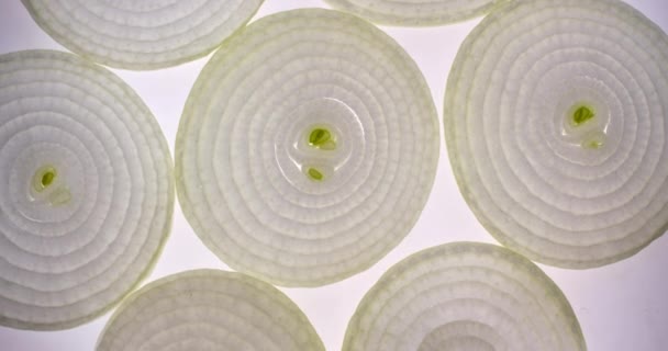 Sliced onion rotating on a bright white background. Close up top view, shot on RED 6K camera — Stock Video