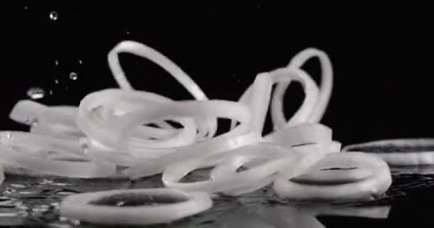 Witte uienringen vallen op een zwarte achtergrond slow motion. close-up zicht, opname op Red 6k camera — Stockvideo