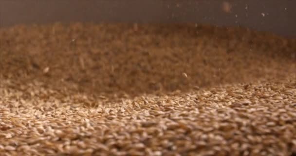 Close up de grãos de trigo carregando em triturador de trigo máquina para fazer cerveja. Cervejaria. Tiro em câmera lenta na câmera 6K RED . — Vídeo de Stock