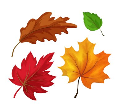 Vektör kroki sonbahar yaprakları set