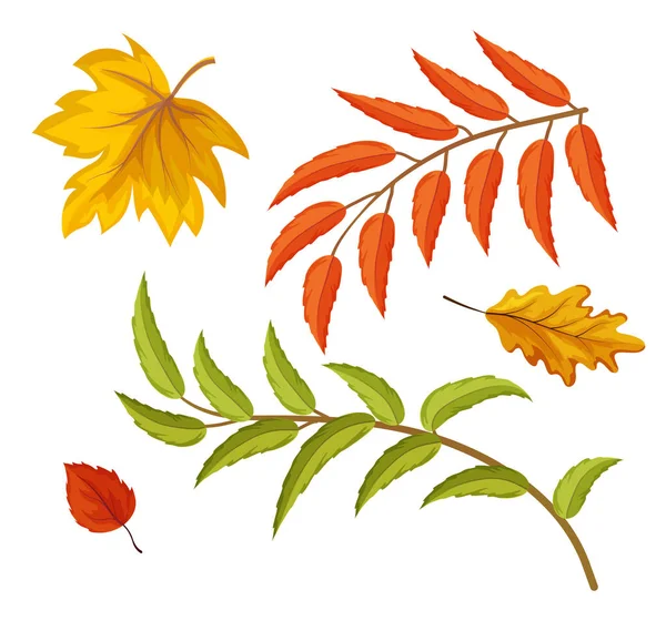 Vector sketch autumn leaves set — Stock Vector