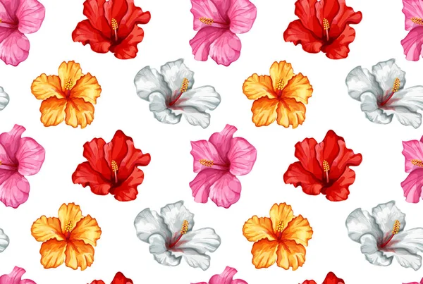 Vektör tropikal hibiscus Dikişsiz desen yaprak