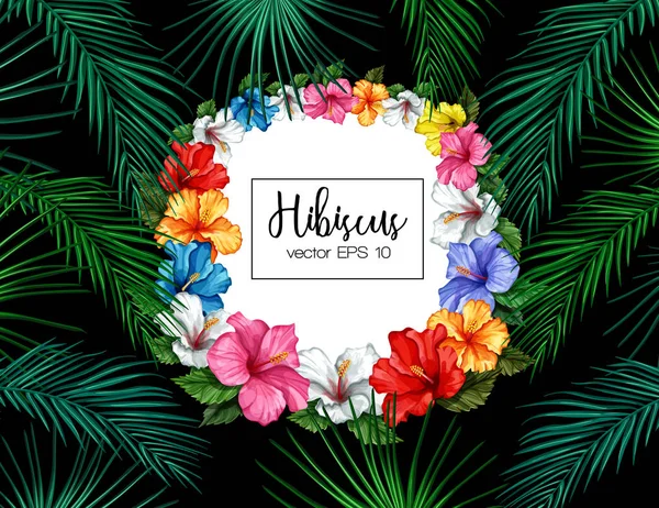 Vector tropische blad hibiscus zomer frame banner — Stockvector