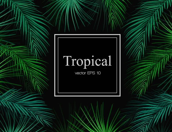 Vektor tropische exotische Blätter Sommer Rahmen Banner — Stockvektor