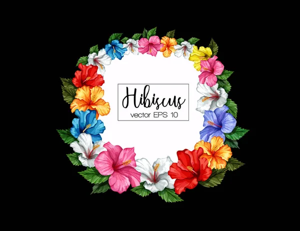 Wektor tropikalny liści hibiscus kwiat rama transparent — Wektor stockowy