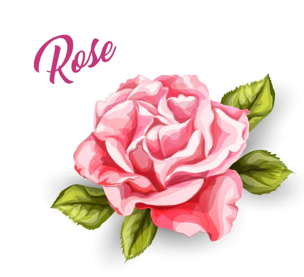 Vektor Aquarell Rose Blume Hochzeitskarte — Stockvektor