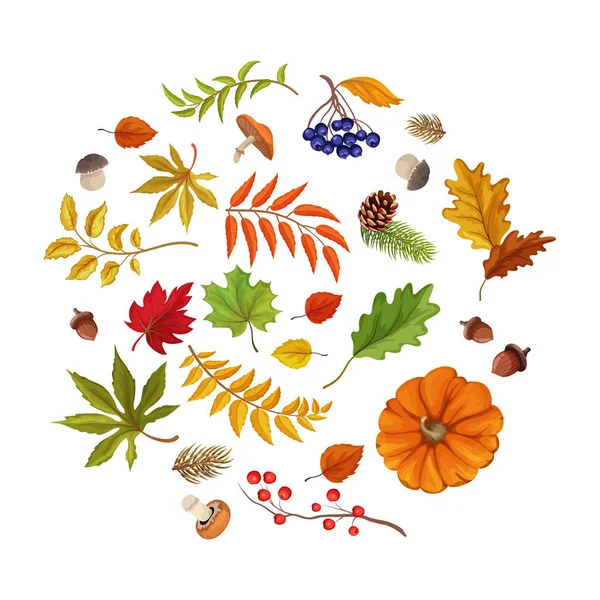 Bosque vectorial conjunto de símbolos del bosque de otoño — Archivo Imágenes Vectoriales