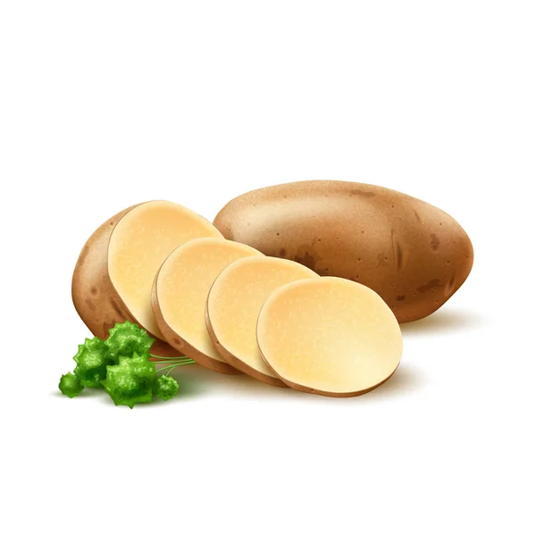 Vector realistiska potatis med blad — Stock vektor
