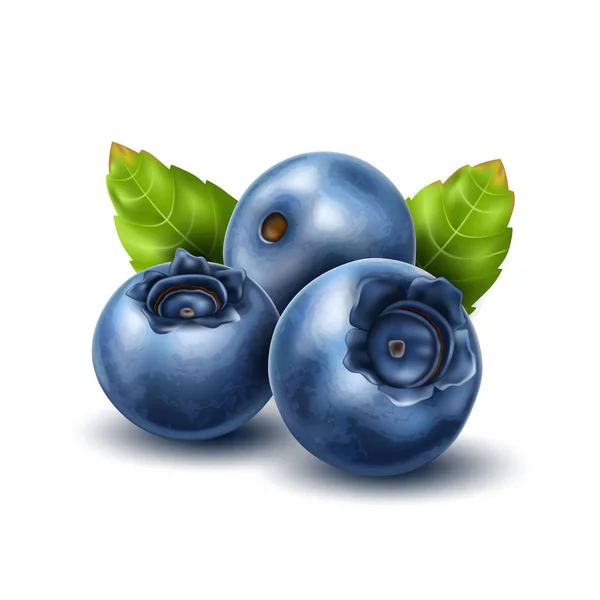 Blueberry realistik vektor dengan set daun 3d - Stok Vektor