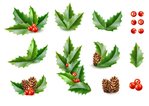 Vector realistic merry christmas holly leaves fir — Stock Vector