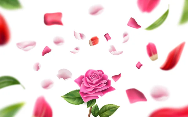 Vecteur flou pétale de rose, fond de feuilles 3d — Image vectorielle