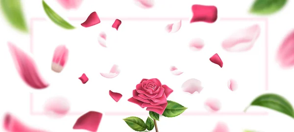 Векторный размытый лепесток розы, оставляет фон 3d — стоковый вектор