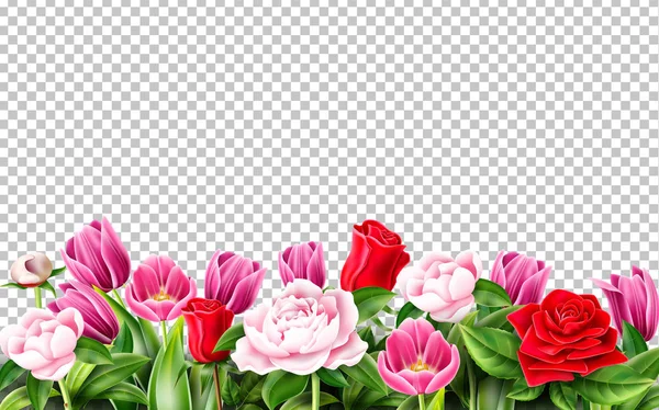 向量郁金香玫瑰牡丹花在透明 — 图库矢量图片