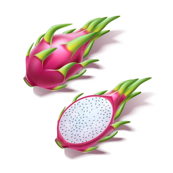 Vektor realistische Pitahaya Drachenfrucht Pitaya 3d — Stockvektor