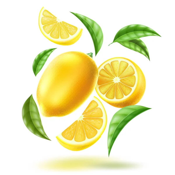 Vector realistic lemon slice fruit leaves motion — Stock Vector