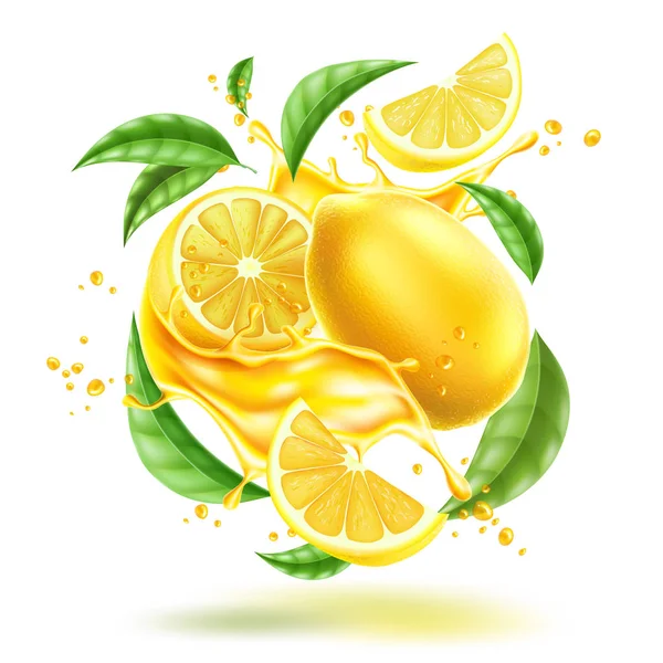 Yaprakları ile Vektör gerçekçi limon sıçrama akışı