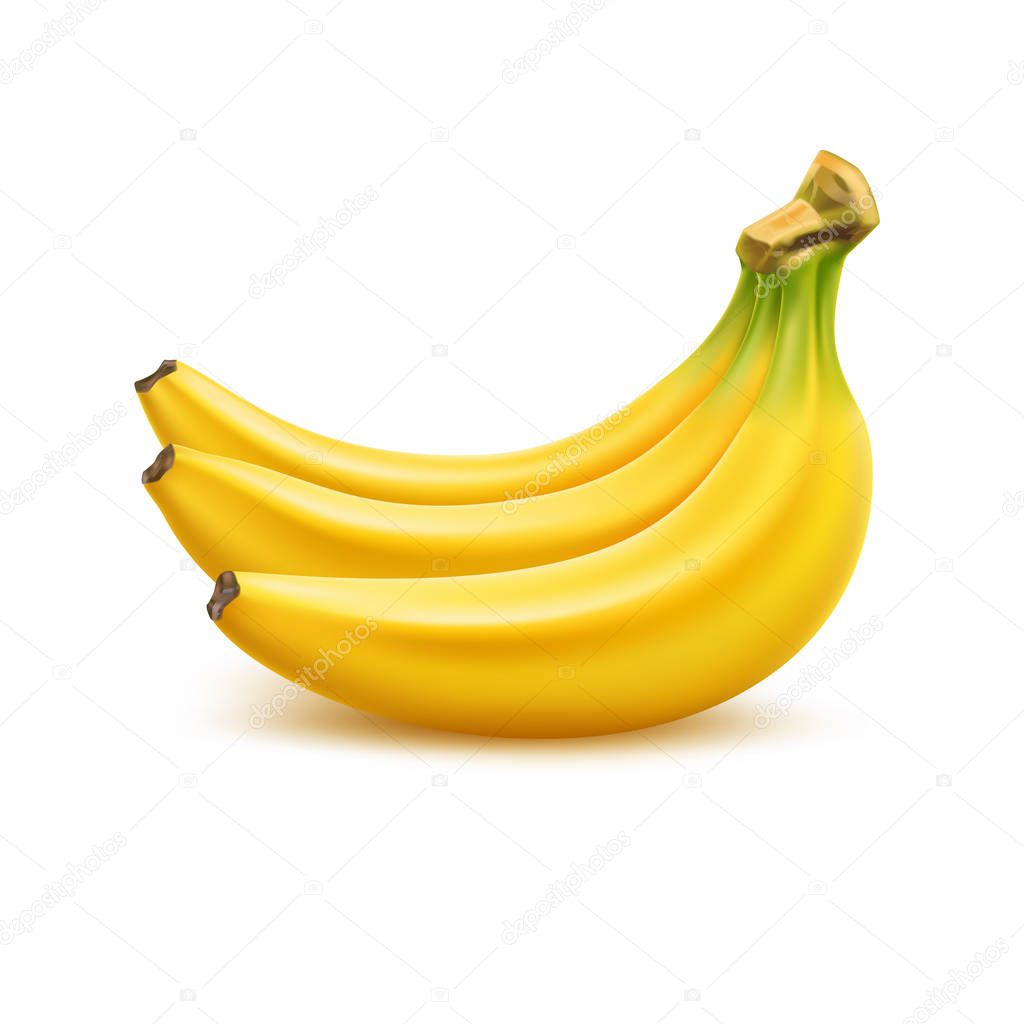 Vector ripe banana bunch, realistic fresh fruit