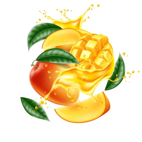 Vektör gerçekçi mango yaprak dilim suyu sıçrama — Stok Vektör