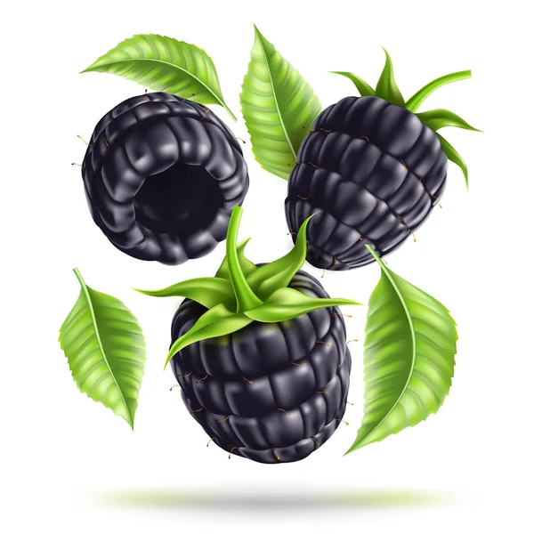 Vektor realistik blackberry juicy buah bergerak - Stok Vektor