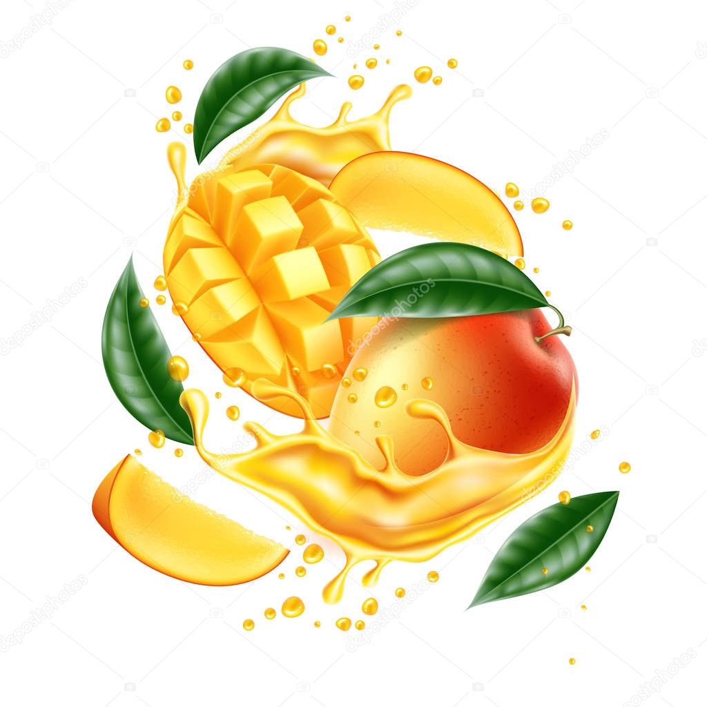Vector realistic mango leaf slice juice splash