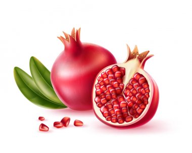 Vector realistic pomegranate with seeds and leaves clipart