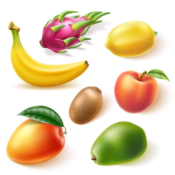 Conjunto de frutas inteiras exóticas frescas realistas vetoriais —  Vetores de Stock