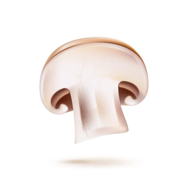 Vector 3d champignon cogumelo fatia ícone realista —  Vetores de Stock