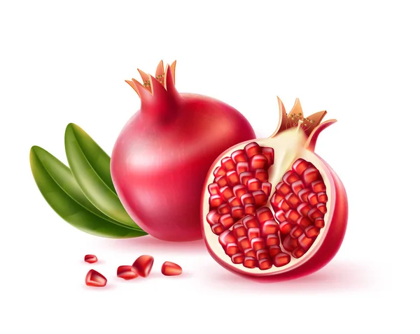 Vector realistic pomegranate with seeds and leaves — Stock Vector