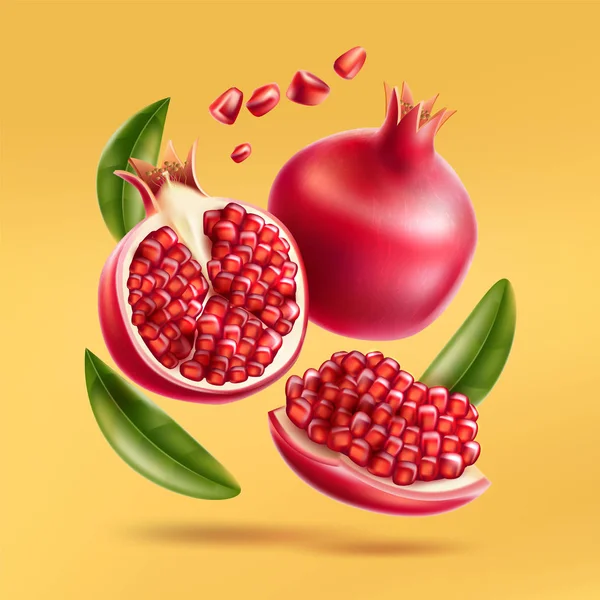 Vector realistic pomegranate with seeds and leaves — Stock Vector