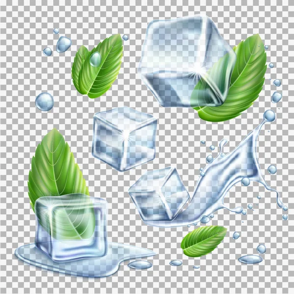 Vector cubos de hielo realistas menta hojas verdes conjunto — Archivo Imágenes Vectoriales