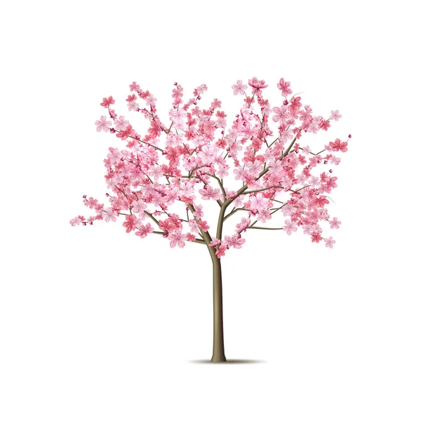 Vector realista árbol de sakura con pétalo rosa — Vector de stock