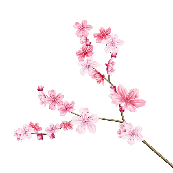 Vetor árvore sakura realista com pétala rosa — Vetor de Stock