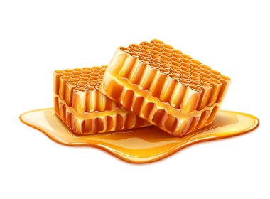 Sıvı bal ile vektör gerçekçi petek dilimi