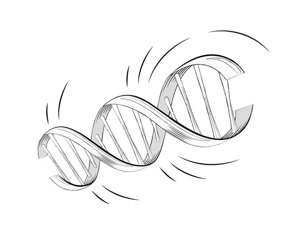Realistica molecola di elica del DNA vettoriale con geni — Vettoriale Stock