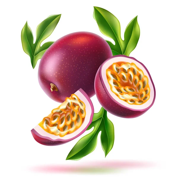Tohum yeşil yapraklı vektör gerçekçi passionfruit