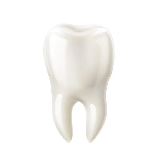 Вектор реалистичный белый зуб макет 3d значок — стоковый вектор
