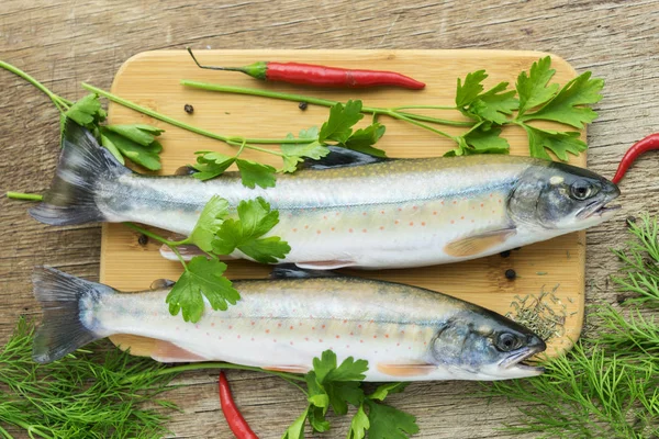 Dos Pescados Frescos Sin Cocer Tipo Salmón Con Hierbas Aromáticas —  Fotos de Stock