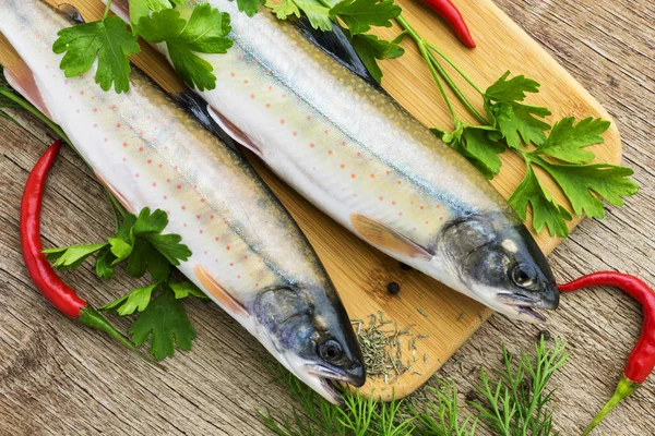 Dos Pescados Frescos Sin Cocer Tipo Salmón Con Hierbas Aromáticas —  Fotos de Stock