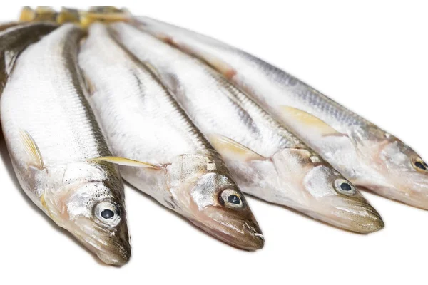Seis piezas de pescado ahumado aislado sobre fondo blanco —  Fotos de Stock