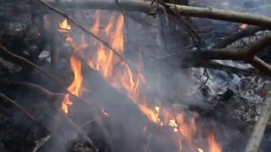 Isı kül ve duman şenlik ateşi. Isı küresel ısınma ile birikmiş. Bu sorunun nedeni mi