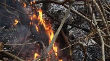 Isı kül ve duman bornfire. Isı küresel ısınma ile birikmiş. Bu sorunun nedeni mi