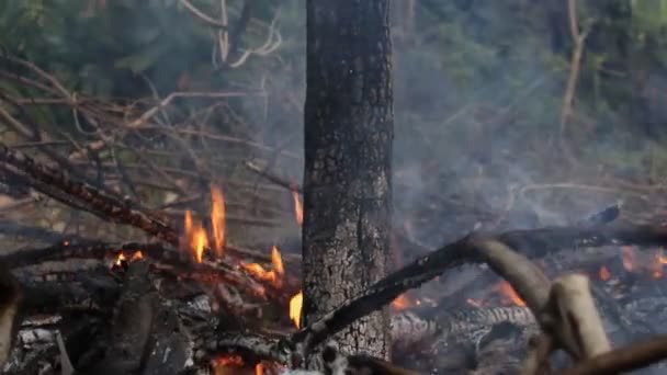 Värme Aska Och Rök Från Bornfire Värmen Ackumuleras Med Den — Stockvideo