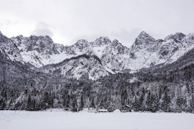 karlı dağ tepe kış günlerinde görünümünü
